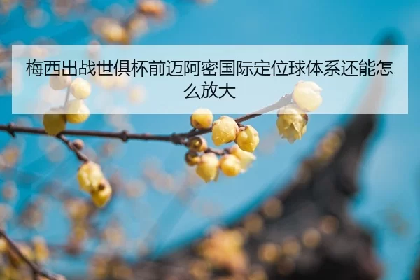 mei-xi-chu-zhan-shi-ju-bei-qian-mai-a-mi-guo-ji-ding-wei-qiu-ti-xi-hai-neng-zen-me-fang-da-2-375.jpg