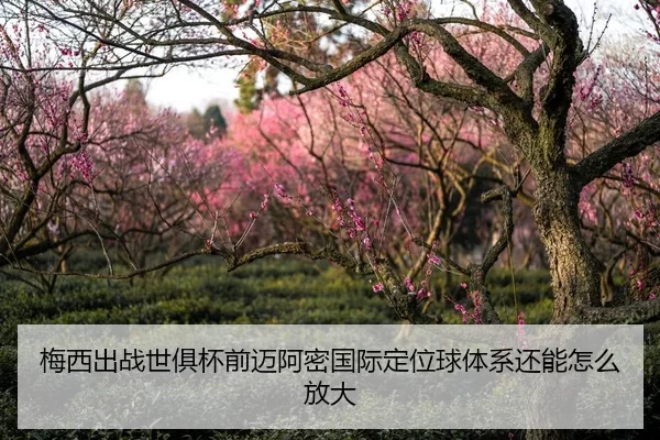 梅西出战世俱杯前迈阿密国际定位球体系还能怎么放大