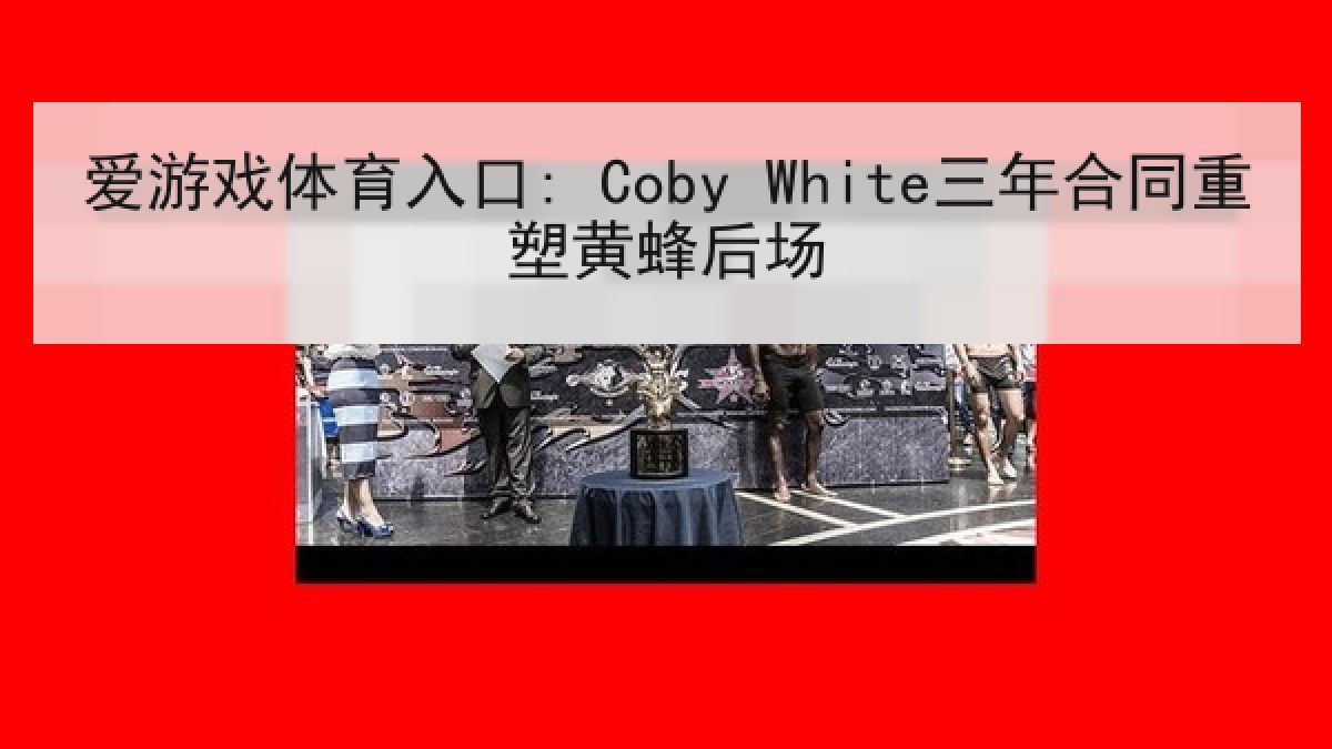 爱游戏体育入口: Coby White三年合同重塑黄蜂后场