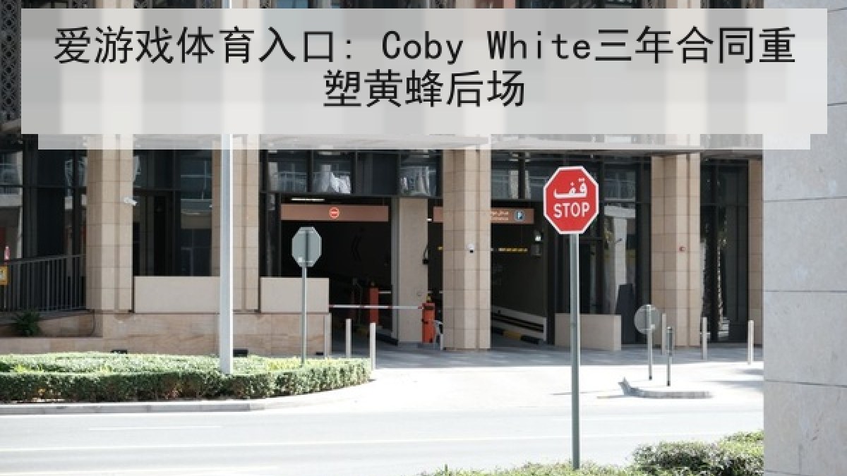 爱游戏体育入口: Coby White三年合同重塑黄蜂后场
