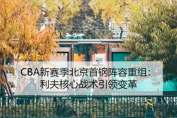 xin-sai-ji-bei-jing-shou-gang-zhen-rong-chong-zu-li-fu-he-xin-zhan-shu-yin-ling-bian-ge-2-939.jpg