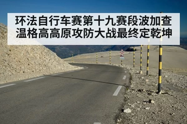 环法自行车赛第十九赛段波加查温格高高原攻防大战最终定乾坤